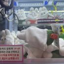 경기고속스테이션 | 롯데월드 아쿠아리움 &amp; 롯데월드몰 &amp; 용산아이파크몰 &amp; 수원 스타필드_잠실역·용산역·화서역·수원역...