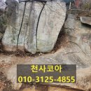 암석(바위)굴삭기 유압코아 600A*600T 천공작업 이미지