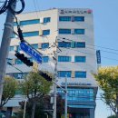 밝은이비인후과의원 이미지