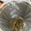 새우까는집 이미지