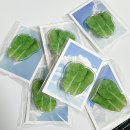 생림돼지국밥 | ~ 24.4🫶🏻PHONE 포토덤프