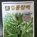 하마 농장 이미지