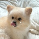 개편한 미용# 이미지