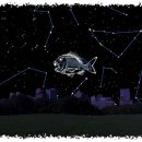 물고기자리 이미지