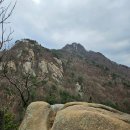 삽교역 소나무길 | 서산 팔봉산 이야기