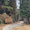 성인목장 | 도치돌 알파카 목장:: 제주도 아이랑 동물 먹이 체험