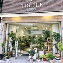 트레플 | ​[여의도 꽃집] 트레플, 예쁜 꽃다발 요리조리 골라본 후기