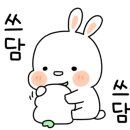 아날로그데이 이미지