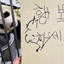 강남고망고 케이크