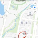 씨유(CU) 태백먹거리점 | 20250423 삼성라이온즈파크 삼성vs기아 경기 먹거리 1루 sky석 원정 후기