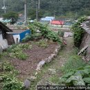 안경마을 이미지