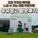 충남 보령 천북 우유창고 후기 — 진한 우유의 매력을 느낄 수 있는 대형 목장카페 / 요리바리의 방문 기록