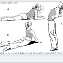 Lower Back Exercises 이미지