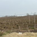 성보농장 이미지