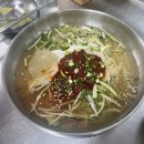 코스모스피아 | 꽃 여행 (월정교-해바라기, 분황사-백일홍,황화코스모스) &amp; 명동쫄면, 독립서점 어서어서 방문후기