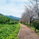 고덕생활축구장 이미지