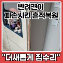 종로-신교-종로-신-151 | 강아지 문틀 벽지 파손 복원