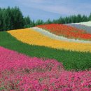 풍경좋은방 이미지