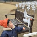 산이정원 | [해남 여행] 해남 아이와 가기 좋은 곳 추천! '산이정원' 방문 후기