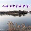 서호공원 이미지