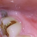 리볼리치과의원 이미지