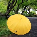 세월호 노란 우산 프로젝트에 참여해 주세요 이미지