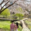 반월놀이공원 이미지