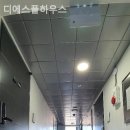 디에스방역