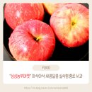 새콤달콤농부 | 싱싱농부마켓 새콤달콤 고당도 홍로 사과 내 돈 내산 후기