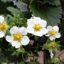 승현농장 이미지