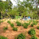 무네미길 이미지