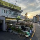 약사초등학교 | 울산맛집 울산 병영맛집 살아있네 싱싱한 해산물이 한가득