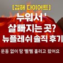 뉴플레쉬