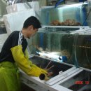 기장시장대게 이미지