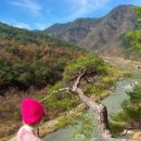 청령포관광안내소 이미지