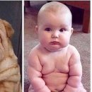 대경농장2 이미지