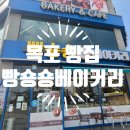 빵숑숑 네이버블로그