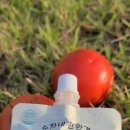 순자네