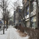 제이블리 | 원주 무실동 펌 잘하는 곳 :: 제이블리 레이어드펌 후기