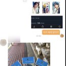 대신디앤이