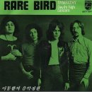 Sympathy(동정심) - Rare Bird(레어 버드) 이미지