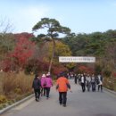 수덕사 진입로 이미지