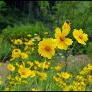 뜨락풍경 이미지