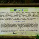 제주섬돌 이미지