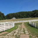 강원목장 이미지