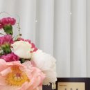 호암중앙2로 이미지