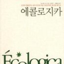 로지카 Daum카페