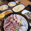 대구 다사 맛집 숙성회 스끼다시 종류 많은 횟집 지극정성 회 포차