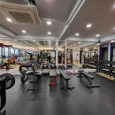 피티나인 이미지