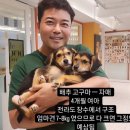 나혼자산다 전현무 정신과 상담 병원 어디?서순라길 타코 맛집 위치